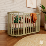 Ambiente sonhos up – cacto (2)